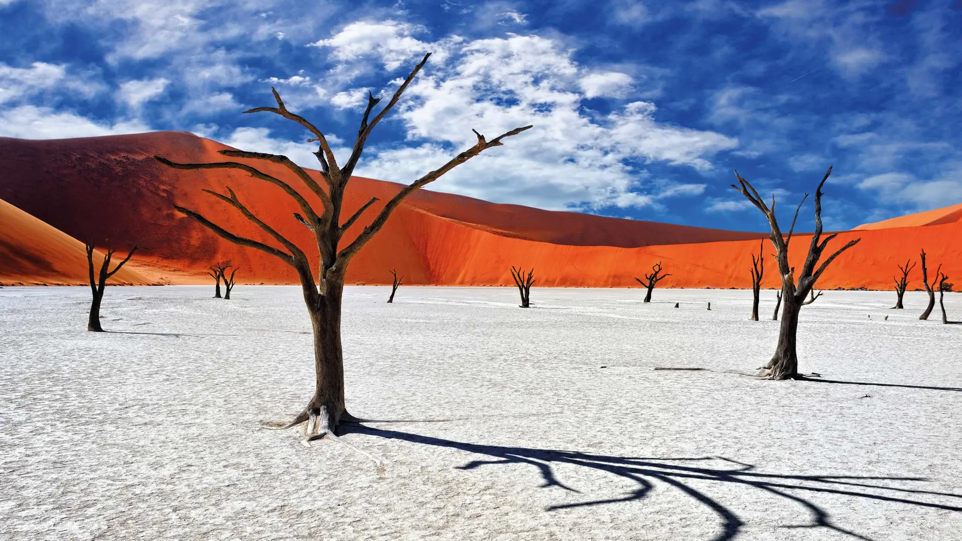 explore image